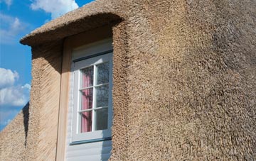 Tutnall thatch roof disadvantages